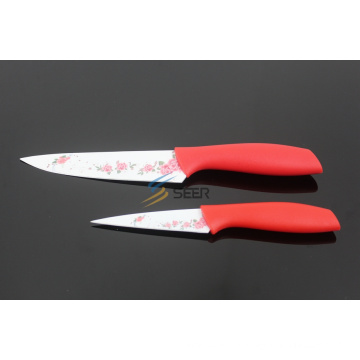 2PCS Colorful Plastic Handle Kitchen Knife (SE150006)